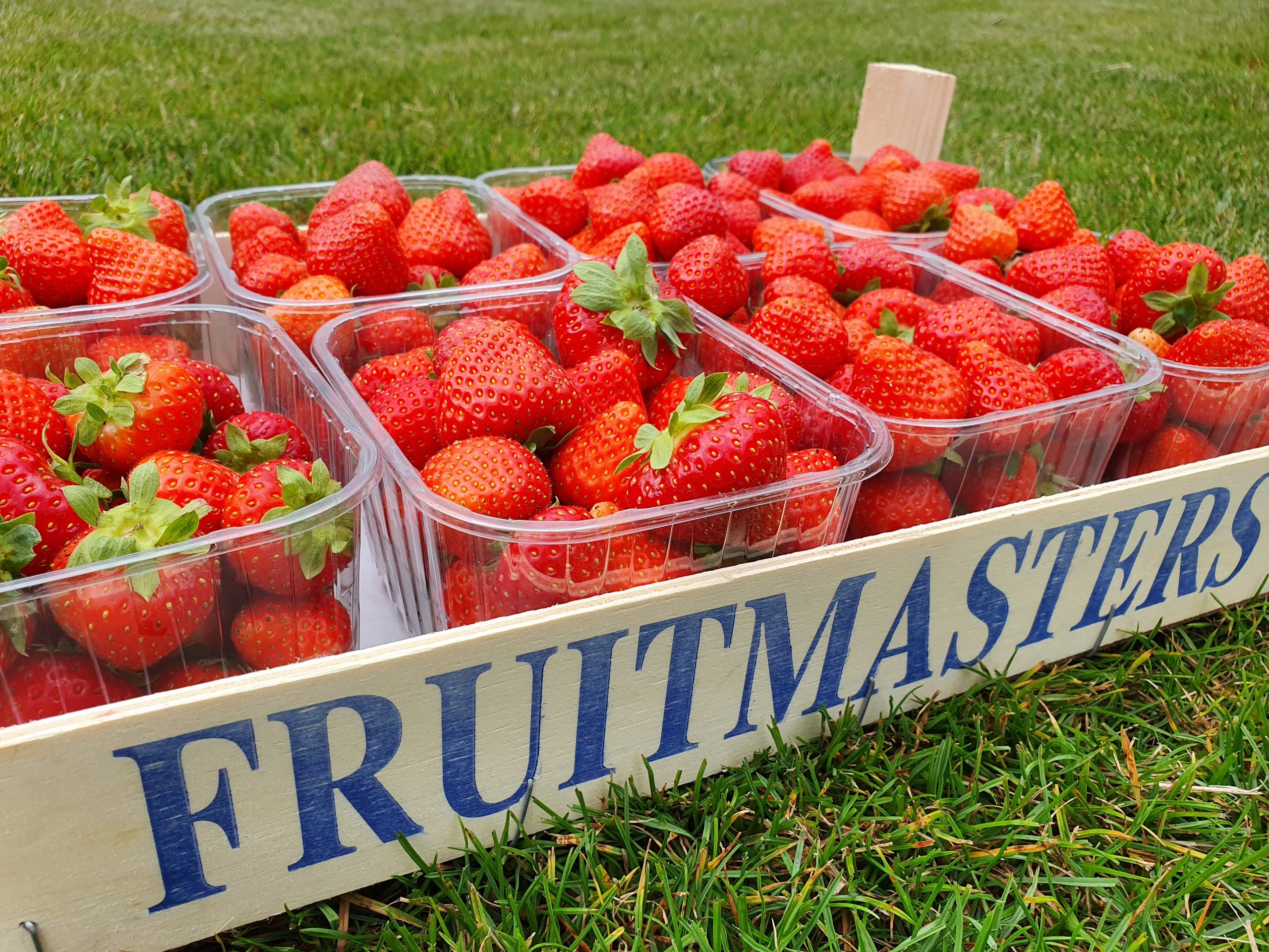 staart Smeltend Terzijde De Fruitkraam – Laat je fruit bezorgen!